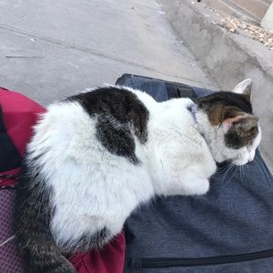 Meet your Posher, Mariel